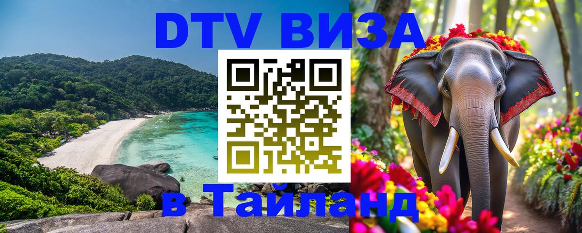 Оформление DTV визы под ключ: стоимость и тарифы, только загранпаспорт - Берлин 